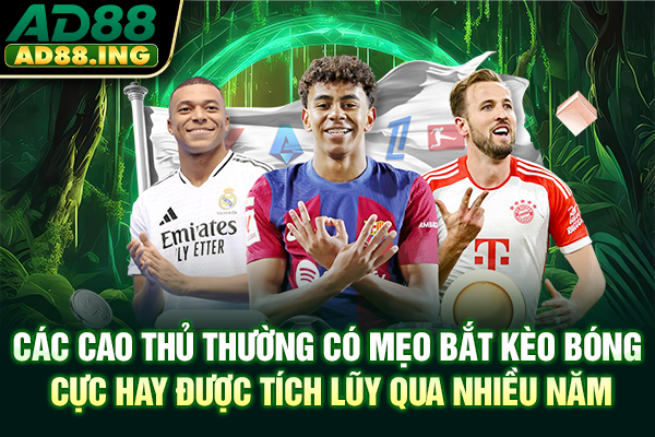 Các cao thủ thường có mẹo bắt kèo bóng cực hay được tích lũy qua nhiều năm