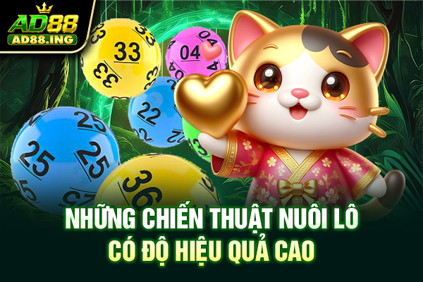 Những chiến thuật nuôi lô có độ hiệu quả cao
